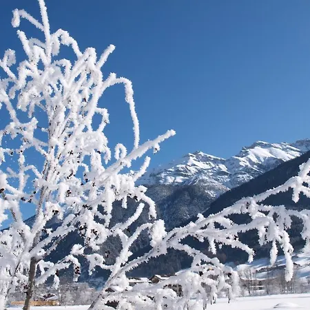 Mondial Апартаменты