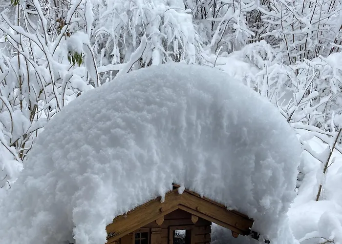 Mondial アパート *